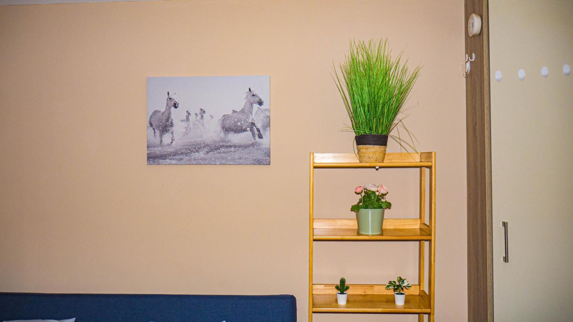 Apartamento Cosy Flat Off Centre Dublin