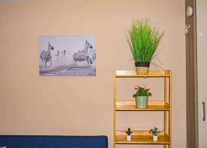 Cosy Flat Off City Centre