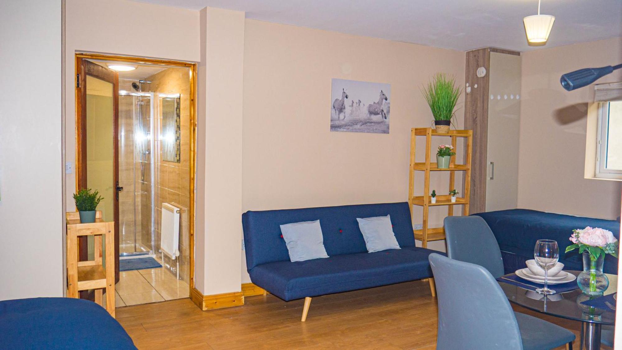 Cosy Flat Off Centre Apartment Dublin